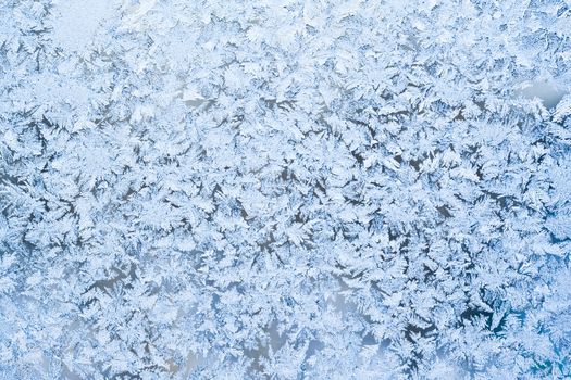 Beautiful pattern of frost on  winter window