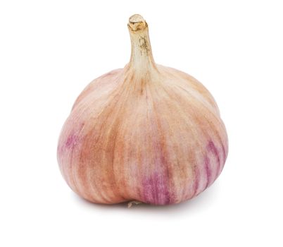 Fresh young garlic isolated on white background