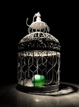 Apple in a cage and dark background