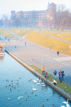 KRAKOW, POLAND - JANUARY 03, 2014: People feeding birds at Wisla riverbank in Krakow, Poland. Wawel Castel on the background.