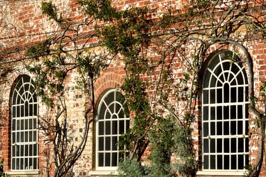 arched white windows