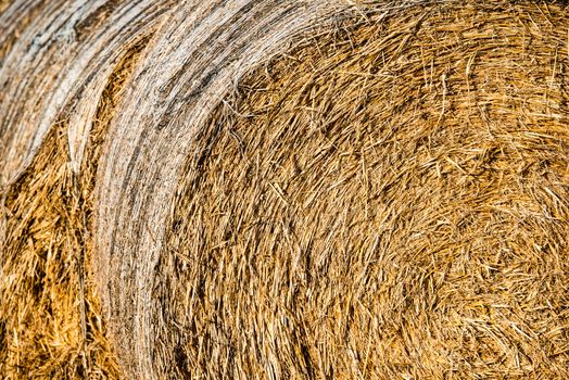 Bales of hay in the fields after summer time harvest