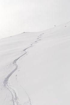 Back country ski tracks in candid powder snow on soft light in a cloudy day