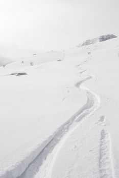 Back country ski tracks in candid powder snow on soft light in a cloudy day