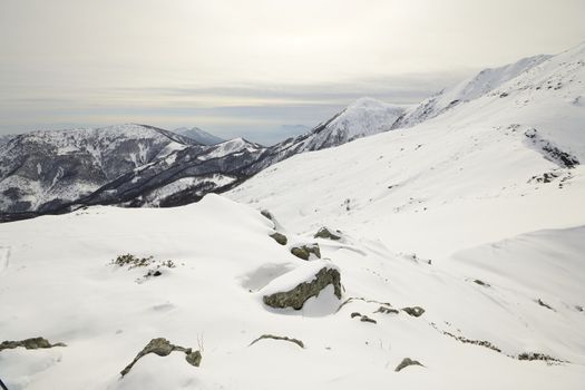 Winter landscape in a cloudy day with soft light in the background