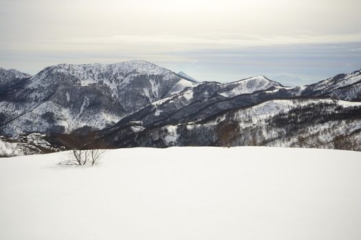 Winter landscape in a cloudy day with soft light in the background