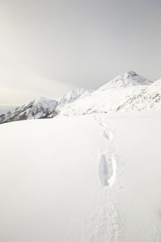 Wildlife traces on a snowy slope in scenic mountain view and cloudy day