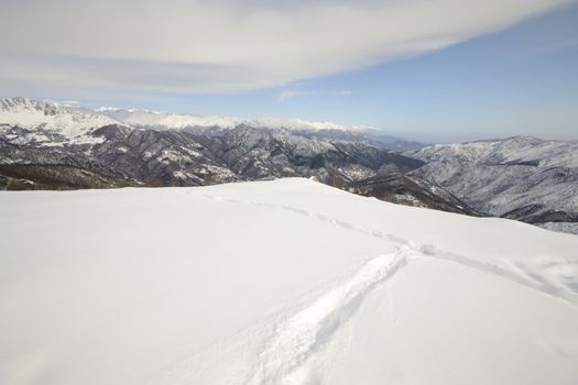 Wildlife traces on a snowy slope in scenic mountain view and cloudy day