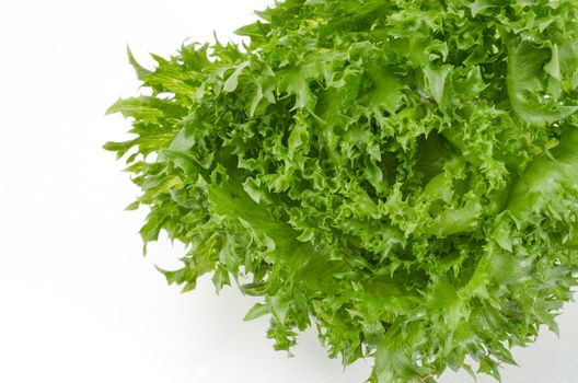 fresh green iceberg salad leaves isolated on white background