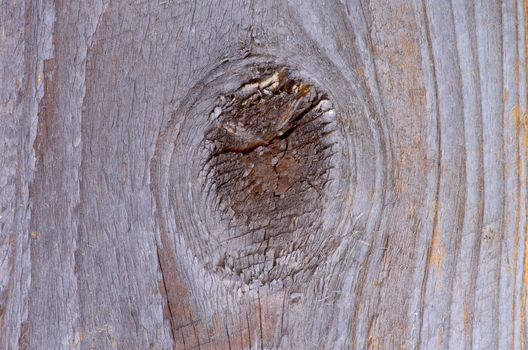 Natural Weathered Rustic Hardwood Background with Timber Knot closeup