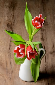 Red-White Tulips in White Ceramic Vase closeup on Rustic Wooden background