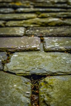 Background Texture Of Old Chipped Slate Roof Tiles (Shallow DoF)