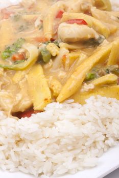 diced chicken in coconut curry sauce served with rice