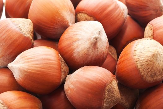 Heap of hazelnuts, filbert nuts making background