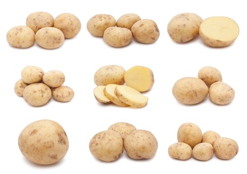 Collection of fresh potatoes isolated on white background