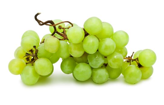 Branch of grapes isolated on white background