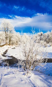 Wintre landscape - trees near the river and blue sky