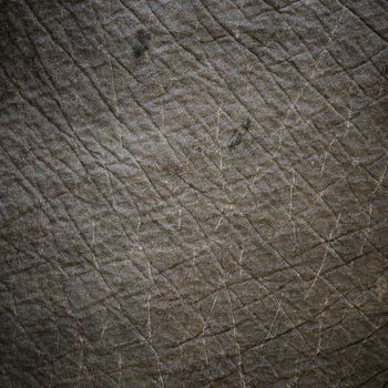 Elephant skin texture with vignette