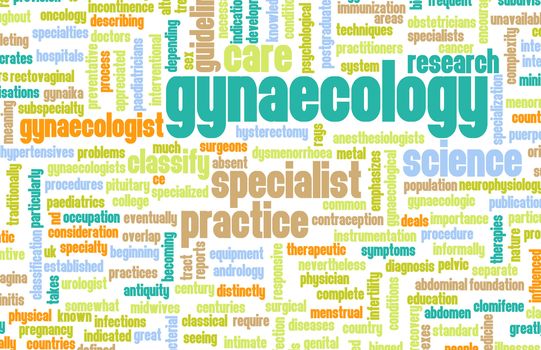 Gynaecology or Gynecology as a Medical Concept
