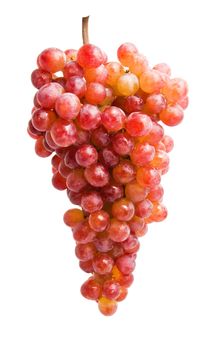 Branch of grapes isolated on white background