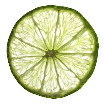 Slice of a lime on illuminated white background