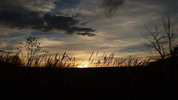 Photo Show Autumn Sunset Scene