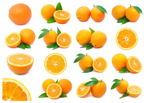 Collection of fresh orange fruits isolated on white background