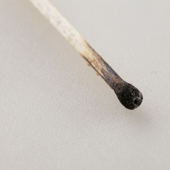 Burnt match in close up, white background