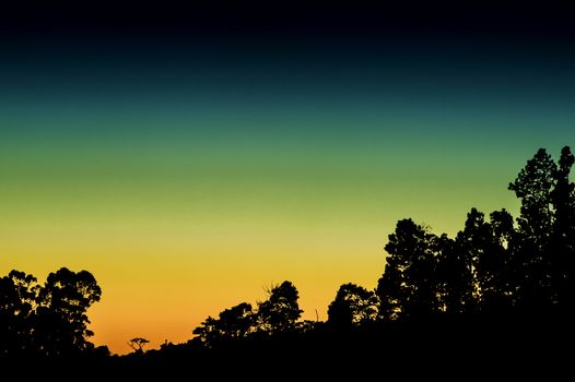 Silhouetted trees against a colorful sunset in Costa Rica