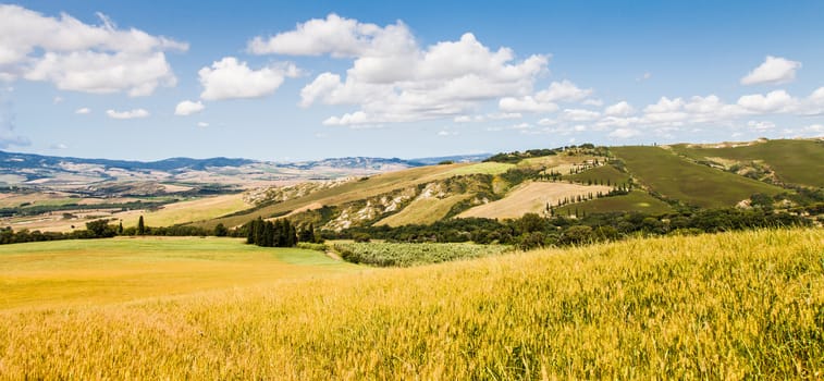 Tuscany, Italy. Famous La Foce street, landmark of Tuscan country.