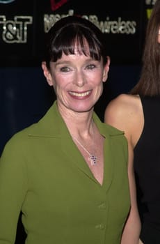 Geraldine Chaplin at the People And Places With No Names benefit and auction, Ace Gallery Los Angeles, 03-19-02