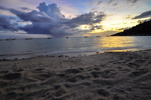 Koh Chang beach coconut tree, Thailand  , Asia.