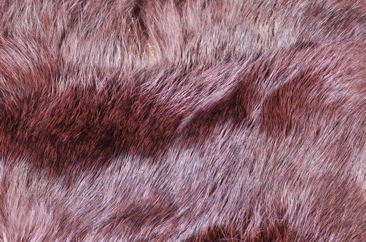 Cloweup take of  some cozy furry fabric