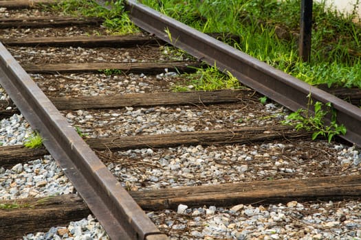 Line of railway track in the park