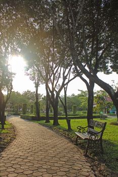 Garden path way with under tree decoration