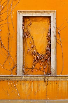 False Window Decorated with Faded Bindweed in Rome