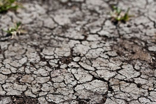 Land with dry cracked ground texture background