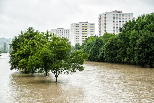 High Water Level on Danube River in Linz, Austria