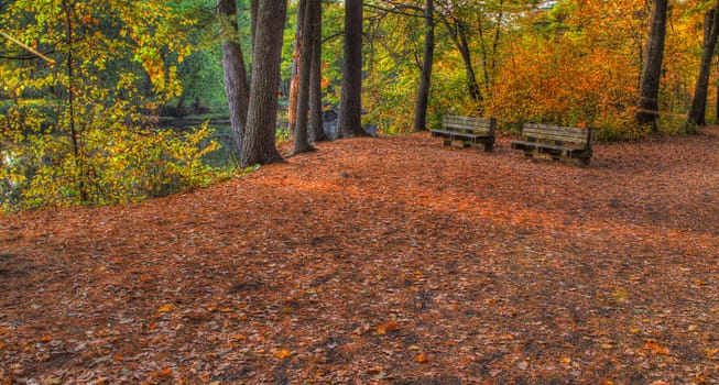 Colorful scenic Landscape in High Dynamic Range with bench