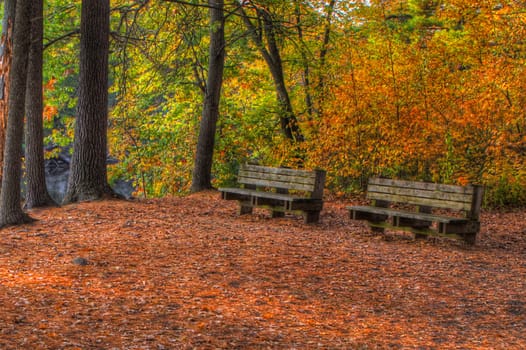 Colorful scenic Landscape in High Dynamic Range with bench