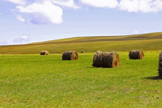 Straw roll bale on the field of farmland