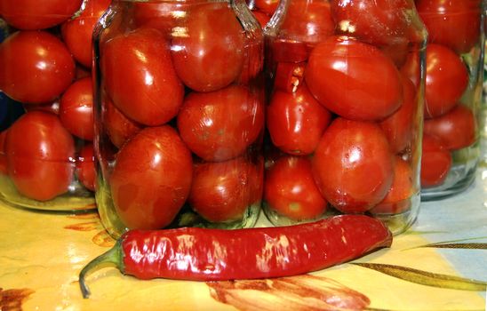 Tasty tomatoes ready to canned in glass jar