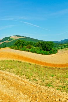 Plowed Sloping Hills of Tuscany in the Autumn
