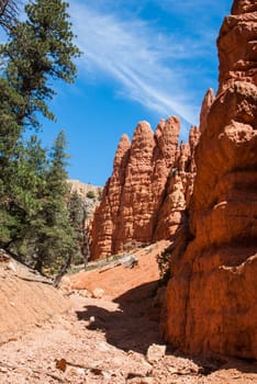 Sandstone rocks of Red Canyon, Utah