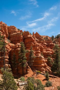Red sandstone rocks of Utah