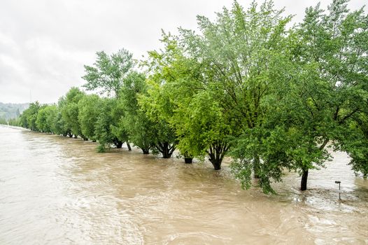 Alley under Water on the Danube River in Linz, Austria