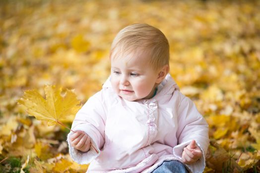 little baby in the park with orange autumn leaves