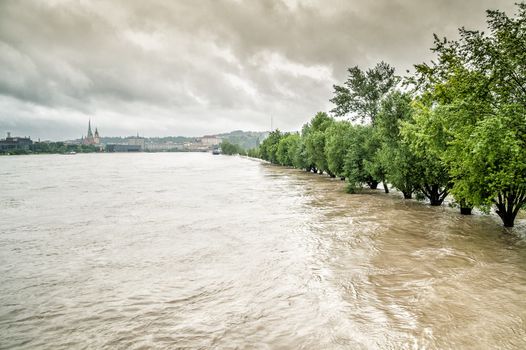 Overflow of the Danube River in Linz, Austria