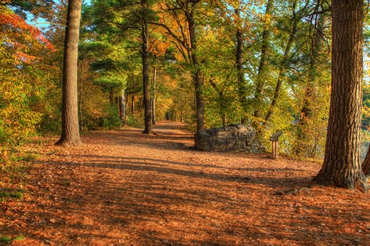 Colorful scenic Landscape in High Dynamic Range.