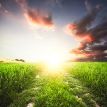 Path in the field and sunset. Rural landscape